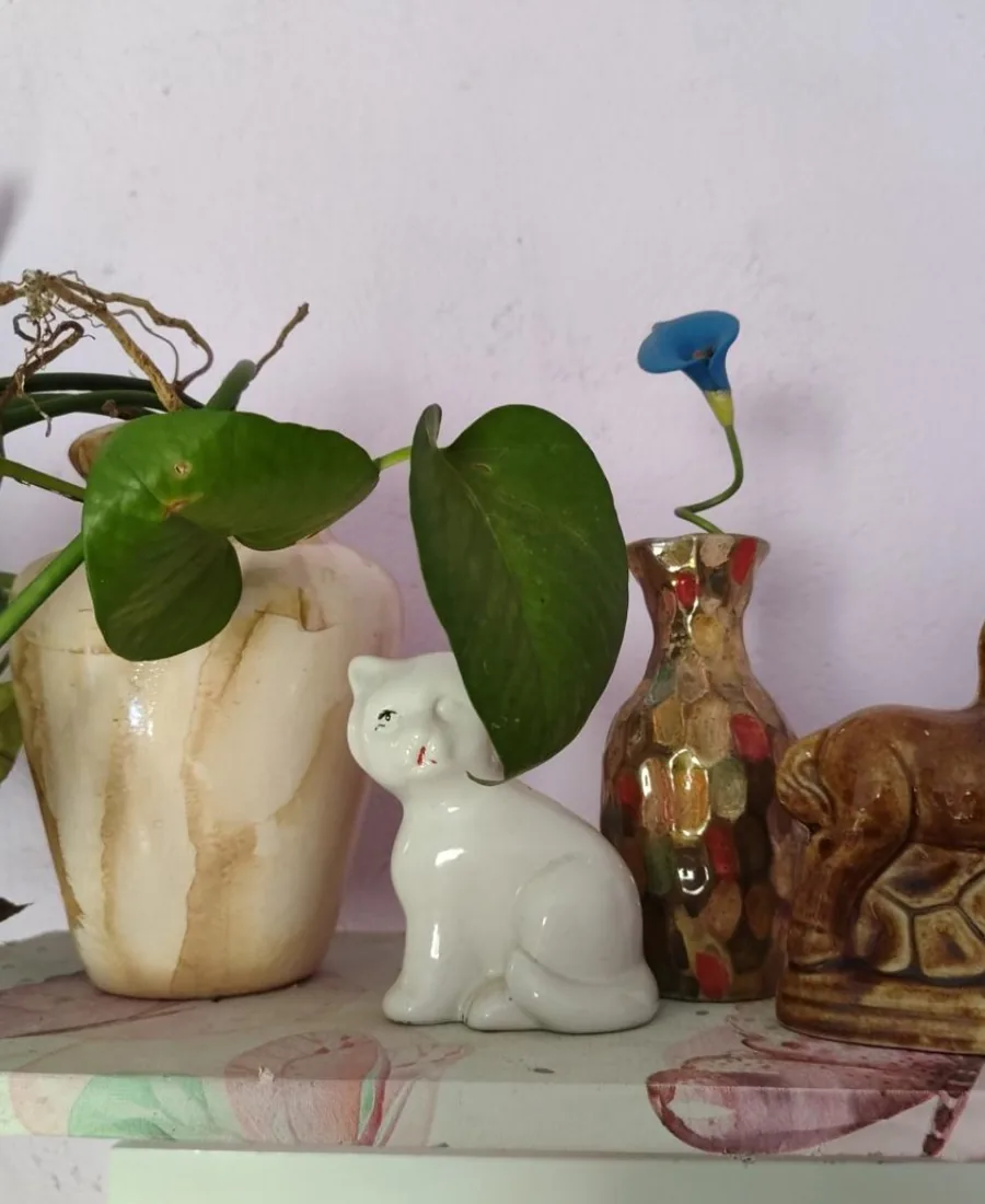 Decoração afetiva do NaPô